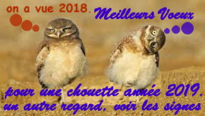 2019 cite 2